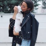 Princess Carp Princess Carp